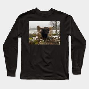 Highland Cattle Bull with big horns Long Sleeve T-Shirt